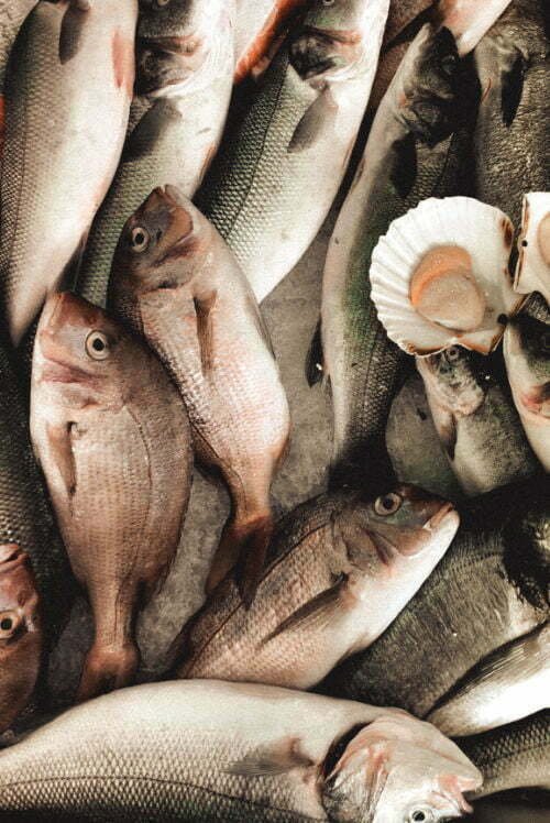 Various fish lay on a bed of ice awaiting sale at a fishmonger