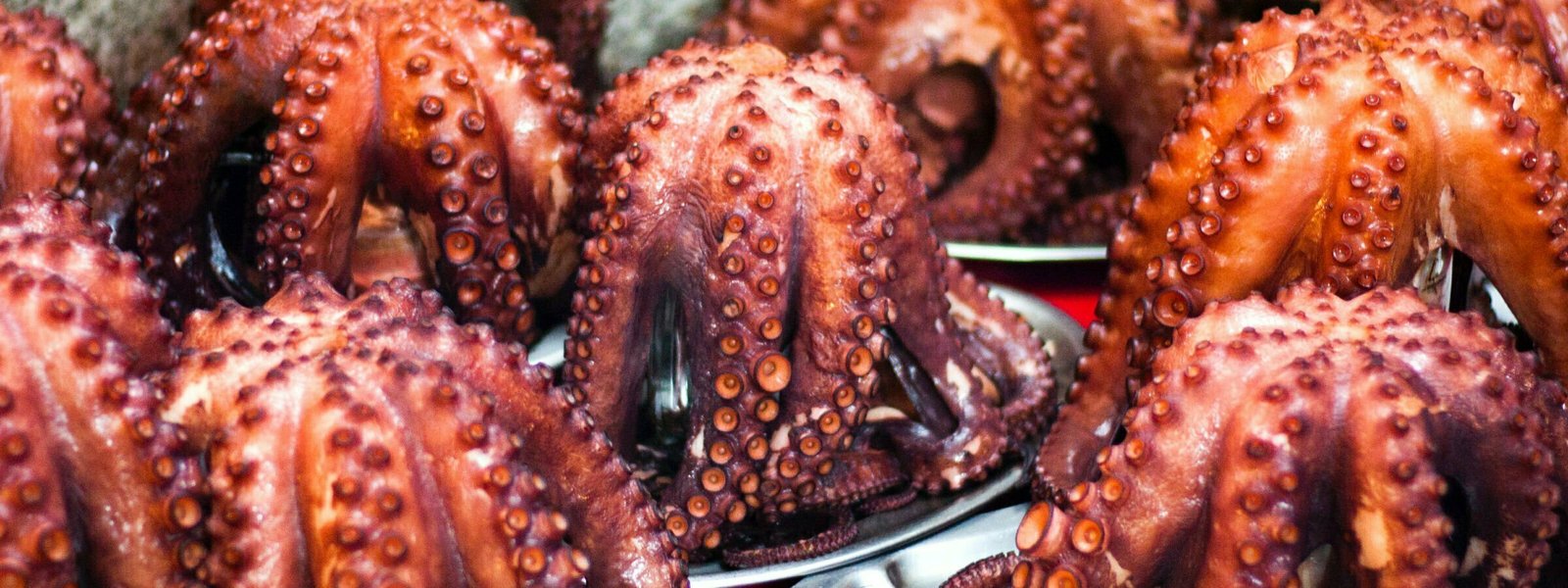 Several purple octopus sit upside down on a table exposing their tentacles. 