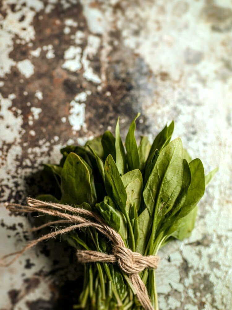 A bunch of spinach leaves is tied with a string and sits on a rustic paint-flecked background