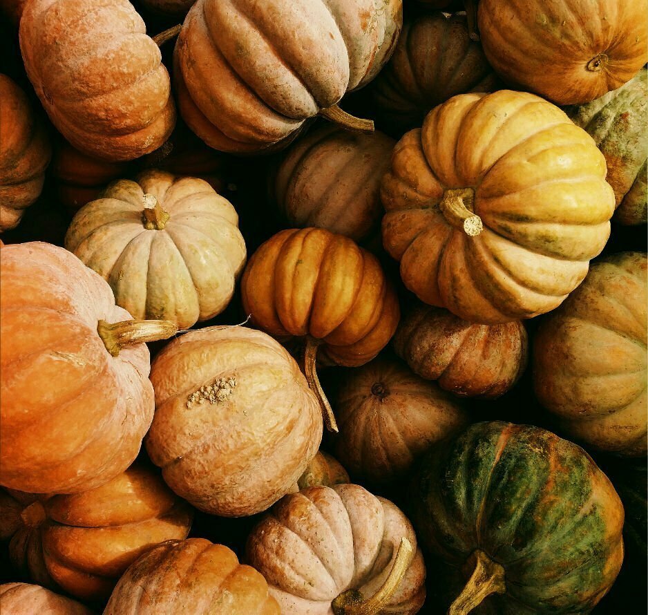 A huge pile of various pumpkins 
