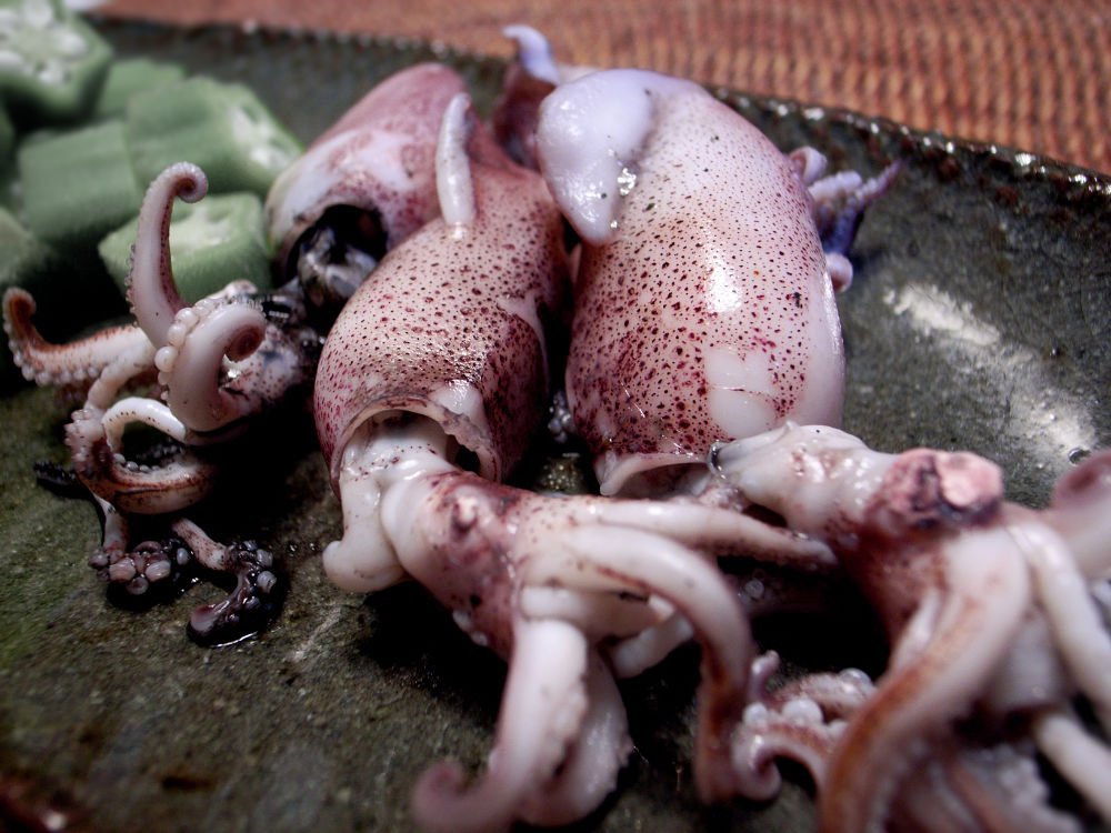 a few small squid sit on a plate waiting to be cooked