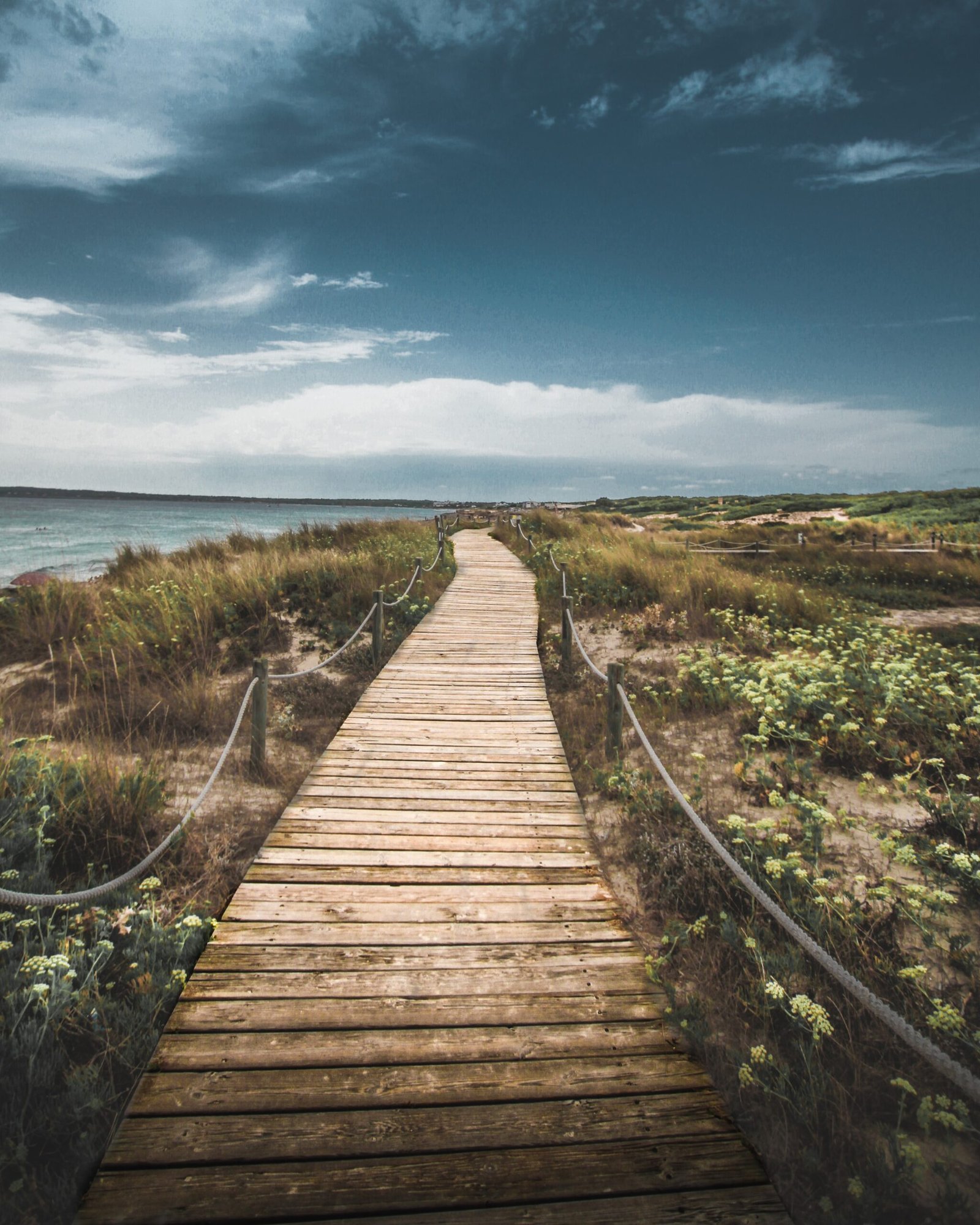 A sweeping wooden path weaves its way towards a beach in the background