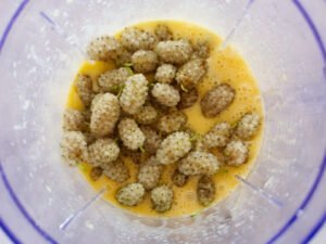 White mulberries are added to a cake mixture in a blender