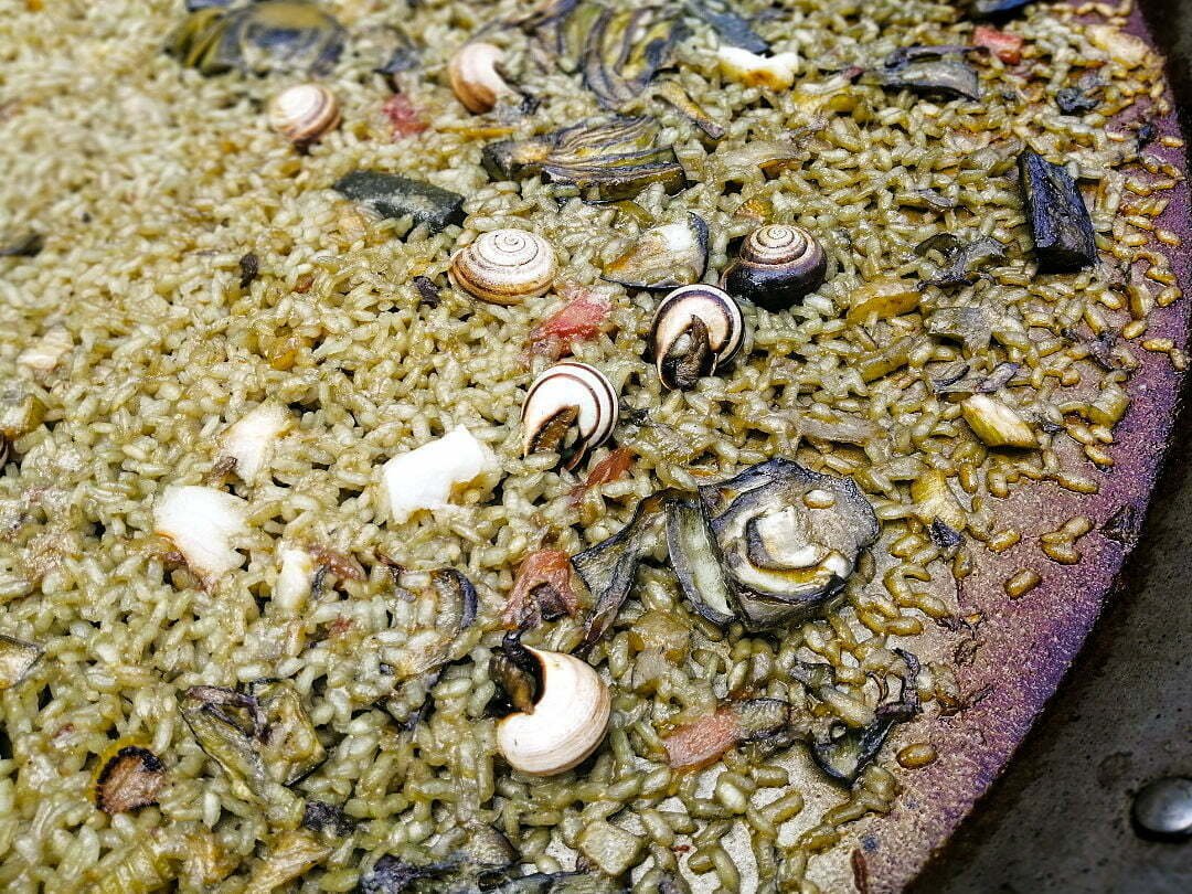 a close up photo of an Orchard Paella