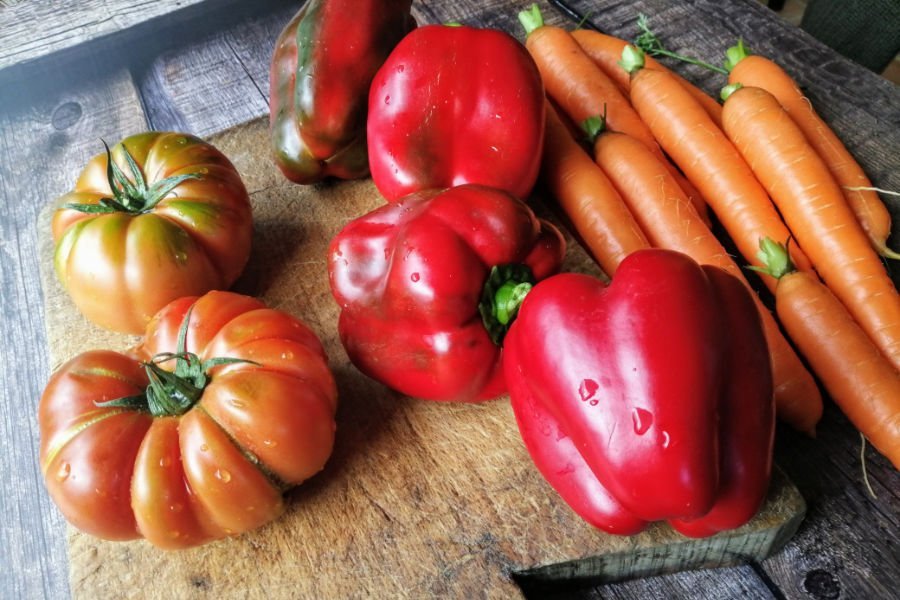 large tomatoes, red peppers, and carrots sit on a chopping board waiting to be prepared