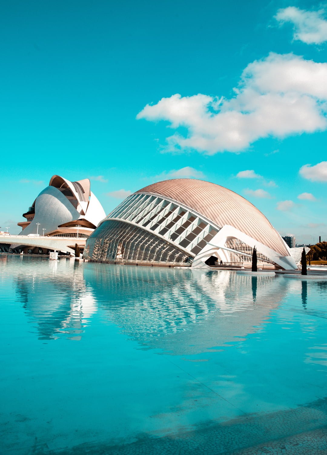 A striking picture of the Ciutat de les Arts i les Ciències, Valencia, España