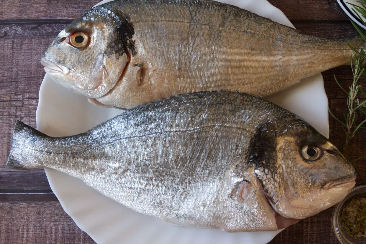 two fresh whole bream sit on a white plate