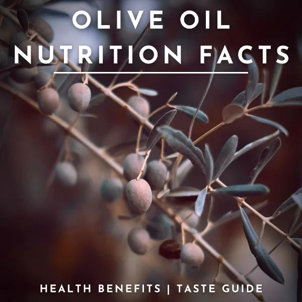 Olive oil nutrition facts infographic