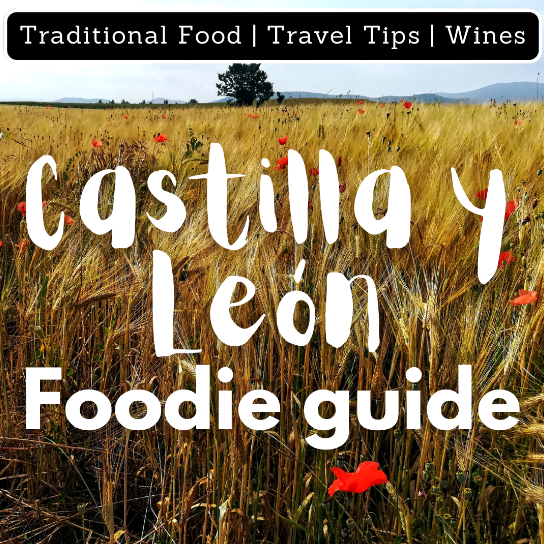 castilla y Leon regional foodie guide poster with a wheat and poppy field in the background.