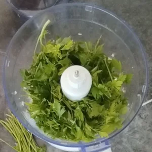 Some fresh parsley is added to a food processor.