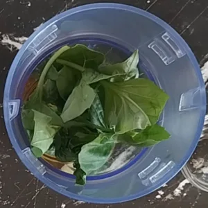 basil leaves in a small nutribullet