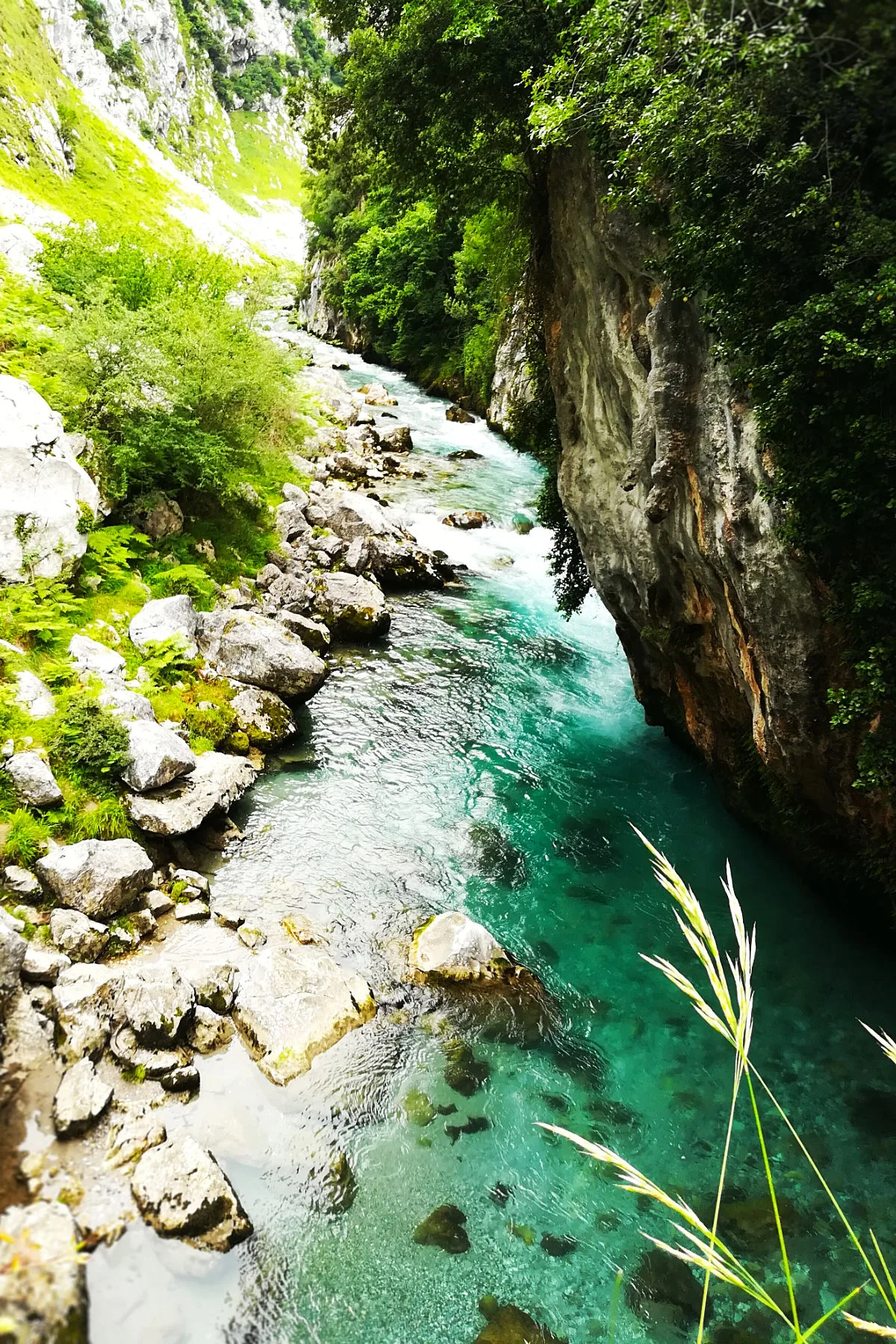 A turquoise river beside some rocky cliffs and lush green forrest.